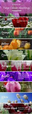 Funeral Flowers And Their Meanings The Ultimate Guide Tulip Colors Flower Meanings Funeral Flowers