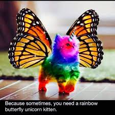 Because We All Need A Butterfly Rainbow Unicorn Kitten Love Godessa Rainbow Butterfly Unicorn Kitten Unicorn Memes Rainbow Kittens