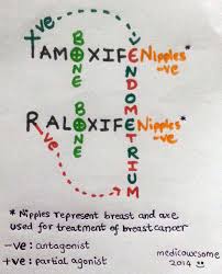 Image result for Selective Estrogen Receptor Modulator