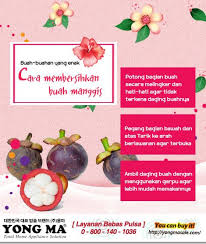 Bagaimana cara menarik uang dari aplikasi snack video ke p. Yong Ma Cara Membersihkan Buah Manggis 1 Potong Bagian Facebook