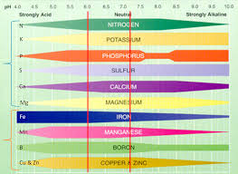 gardening soil and the importance of soil ph for maximum growth