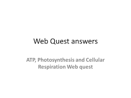 Photosynthesis and cellular respiration photosynthesis cellular respiration worksheet answers and photosynthesis and cellular respiration worksheet answers. Atp Photosynthesis And Cellular Respiration Web Quest Ppt Video Online Download