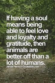 If Having A Soul Means Being Able To Feel Love And Loyalty And Gratitude Then Animals Are Better Off Than A Lot Of Humans