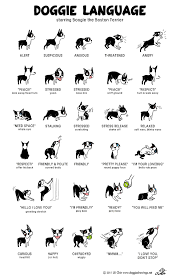I recommend 'em as a teacher & learner. Canine Body Language A Lesson In Understanding Your Labrador