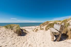 نتیجه جستجوی لغت [strand] در گوگل