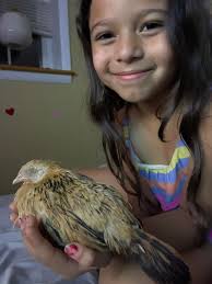 5 Rongai young boys sleeping together. Cre: Sid Sid  https://www.instagram.com/p/C_aFRXAoIu1/?igsh=MTd1dWEyYmg5MWprcA== Posted  byBun Trinh