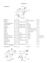 Image result for Gnidia hockii