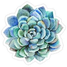 I envisioned cows and cowboys, horses, tumbleweed, and cacti coexisting in a hot, dry desert climate. Customizable Succulent Cactus Car Stickers And Decals