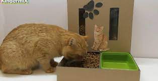 Ingin mencari merek makanan kucing yang berkualitas? Bekas Makanan Kucing Diy Viral Muafakat Johor Facebook