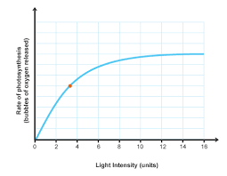 At low light intensity, photosynthesis occurs slowly because only a small quantity of atp and nadph is created by the light dependent reactions. Factors Affecting Rates Of Photosynthesis Part 2 Grade 9 Understanding For Igcse Biology 2 20 2 23 Pmg Biology