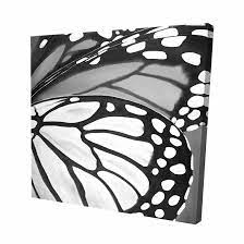 Ebern Designs Butterfly Wings Closeup ...