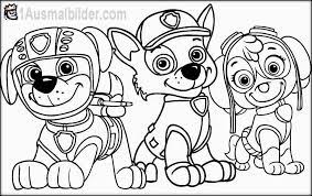 Ein team mutiger welpen führt zusammen mit einem klugen jungen jeder, der geschichten über retter und superhelden liebt, wird mit der ausmalbilder von paw patrol sicherlich zufrieden sein. 15 Beste Ausmalbilder Paw Patrol Gratis 1ausmalbilder Com Geburtstag Malvorlagen Superhelden Malvorlagen Lustige Malvorlagen