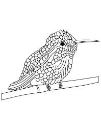 Cute Hummingbird Perched In Tree Stems Coloring Page Coloring Pages Pattern Coloring Pages Hummingbird Pictures