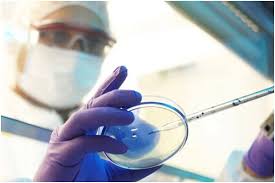 The children were seen in india, where the delta covid variant has ravaged the… Black Fungus Symptoms Black Fungus Treatment And How It Is Different From Skin Fungal Infection