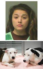 6 dogs is a pseudonym of a popular rapper whose name is chase amick. 6 Dogs Removed From Feces Covered House Animal Rescue League Of Iowa