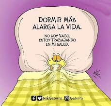 Dormir Mas Frases Sarcasticas Graciosas Frases Divertidas Memes Espanol Graciosos