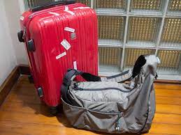 Your cabin bag/luggage on board must not exceed 56cm x 36cm x 23cm #5. What Can I Hand Carry On Board My Flight Economy Traveller
