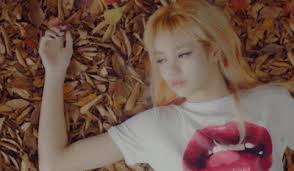 (봇/not the real one) #lisa from. Hiatus