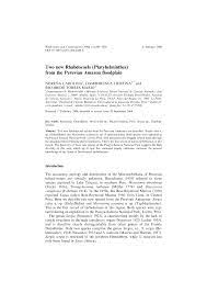 Les infos, chiffres, immobilier, hotels & le mag. Pdf Two New Rhabdocoels Platyhelminthes From The Peruvian Amazon Floodplain