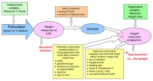 Interpreting Newborn Weight Loss