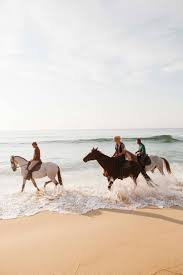 Praia Do Guincho Lismore Horseback Riding Horse Riding Horses