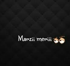 Hassan Funny Words Cute Funny Quotes Attitude Quotes