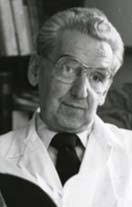 Our First 50 Years • Our Department Today • Our Alumni Department of  Neurology