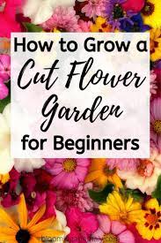 Pin On Blooming Anomaly Gardening Tips