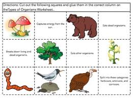 Types Of Organisms Sort Producers Consumers Decomposers Scavengers Consumers Worksheet Template Naming Chemical Compounds Worksheet