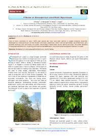 Image result for Stereospermum harmsianum