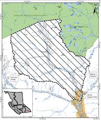 Maybe you would like to learn more about one of these? Area Restrictions Enacted Around Three East Kootenay Wildfires My East Kootenay Now