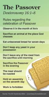 And nothing leavened shall be seen among you, nor shall any leaven be seen among you in all your borders. 30 Feast Of Unleavened Bread Ideas Feast Of Unleavened Bread Feasts Of The Lord Passover