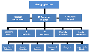 Talent Organization Chart Related Keywords Suggestions