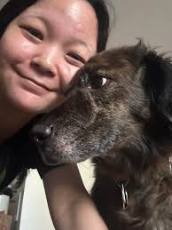 Professional dog walker seeking advertising feedback