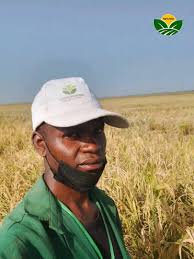 Let's welcome our new members! Nura Kabiru Unisok, Shuaibu Musa Kintapo,  Philbert Daysee, It'z Alhassan, Magnus Alpha, Verified Elocution, Malamin  Mata Malam Babba, Iorshar Emmanuel, Anurika Jessy, Romulo Paminsan Orlanda,  Bayuo Joe,