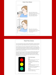 They all looked about the same. Asthma And Allergies Charts And Diagrams With Private Label Rights 24 Asthma And Allergies Pictorial Chart Content Portfolio Private Label Health And Wellness