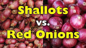 Image result for shallots