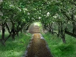 We did not find results for: Echanted Garden Wallpapers Wallpaper Cave