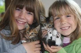 Darlene Travers's Instagram, Twitter & Facebook