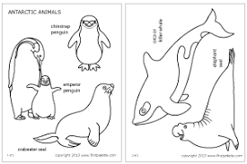This collection includes mandalas, florals, and more. Polar Animals Printable Templates Amp Coloring Pages Firstpalette Antarctic Animals Polar Animals Arctic Animals