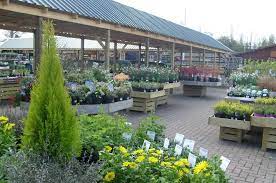 Cherry Lane Tickhill Delivering Value