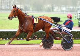 Adieu les cons est un film français réalisé par albert dupontel, sorti en 2020. Adieu Les A Trabrennsport Aus Aller Welt Info Stall Mein Trabrennsport De