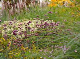 Mein Neuer Garten Petra Pelz Landschaftsarchitektur Garden Design Garden Backyard