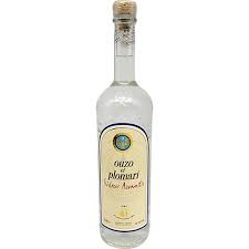 Image result for Ozoroa bredoi