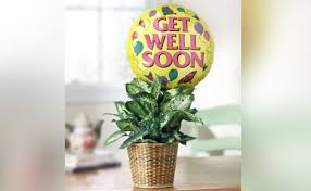 Treat someone when they need it most with our thoughtful collection of get well soon gifts. Wish Them A Speedy Recovery With These Get Well Soon Gifts Ideas