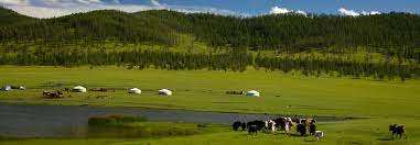 — oregonlive, 1 july 2021 silver's models show that the effects of one application of compost on rangeland could potentially last 85 to 100 years. No More Neglect Mongolia Says Rangelands Are A Global Priority