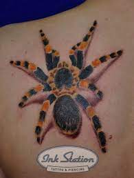 vogelspinnen tattoo from billy from the ink station stuttgart www ink station net www tattooentfernung stuttgart co tattoo magazin tattoo stuttgart tier tattoo