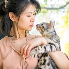 How pet parents keep their cool. · Kinship