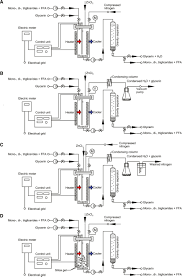 Biodiesel production using enzymatic transesterification. Reduction Of Free Fatty Acids In Waste Oil For Biodiesel Production By Glycerolysis Investigation And Optimization Of Process Parameters