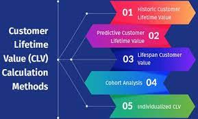 Customer Lifetime Value Cio Wiki